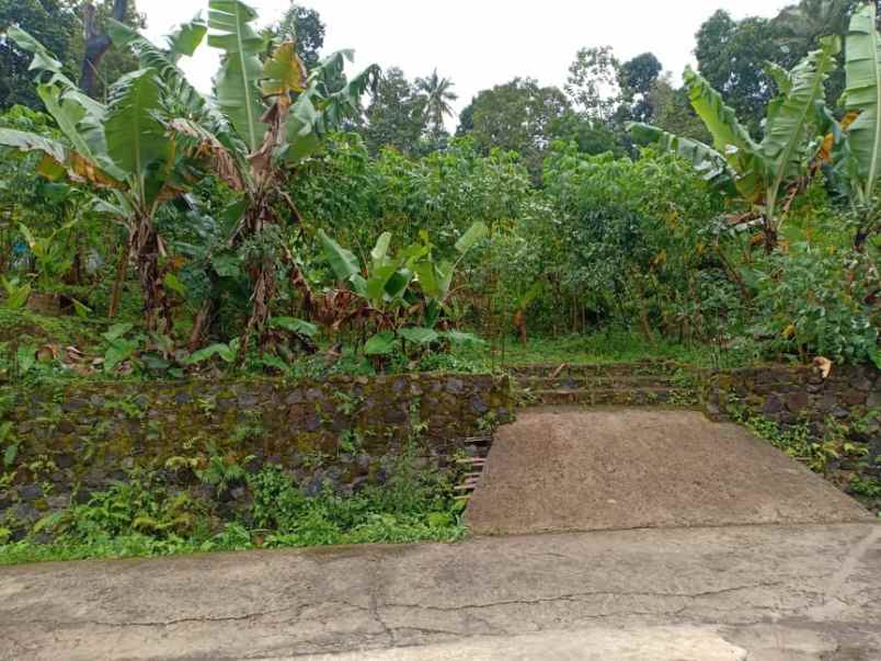 tanah utara pasar karangpandan