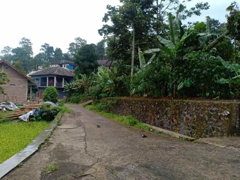 tanah utara pasar karangpandan