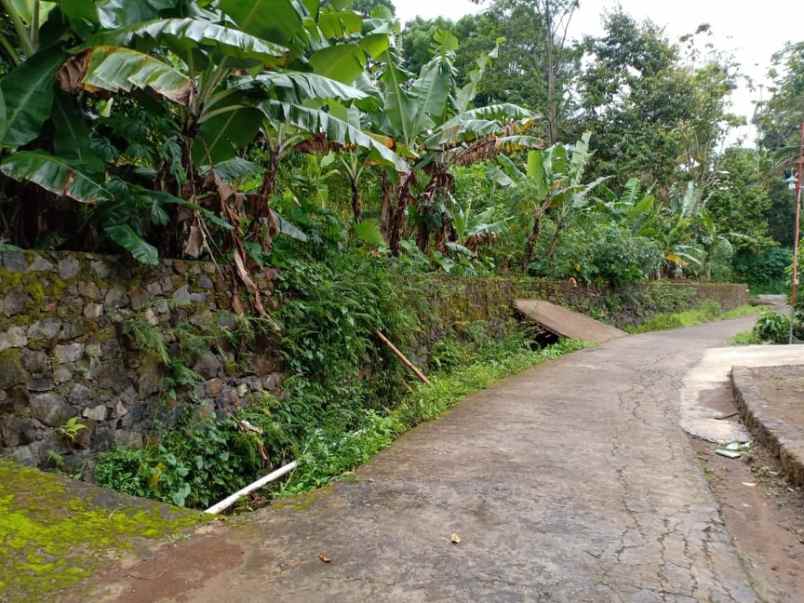 tanah utara pasar karangpandan
