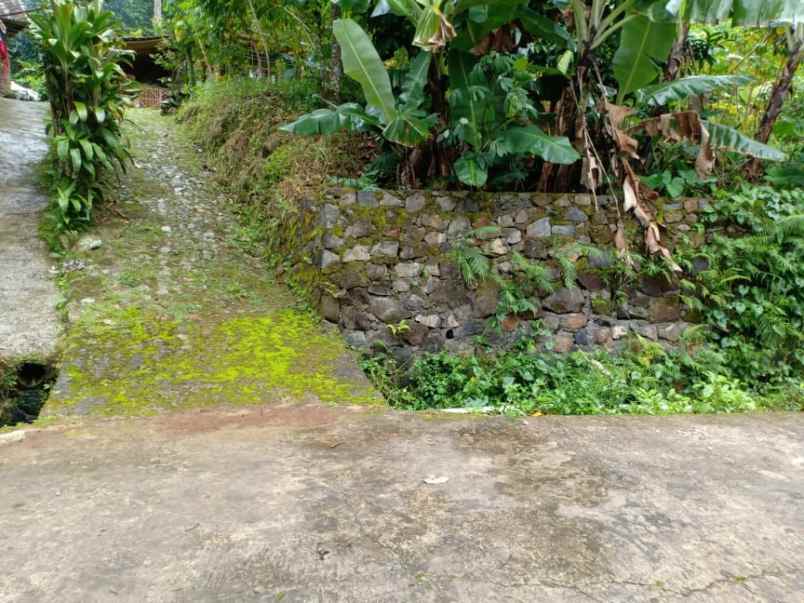 tanah utara pasar karangpandan