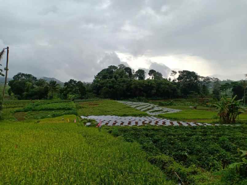 tanah utara pasar karangpandan
