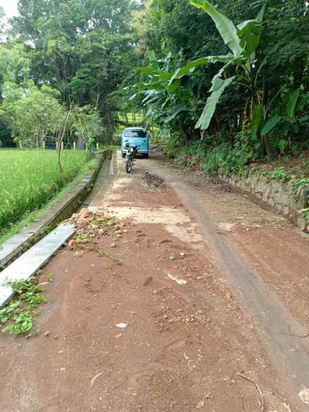 tanah utara pasar mojogedang