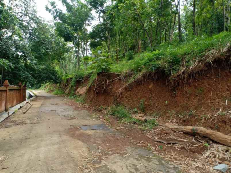 tanah utara pasar mojogedang