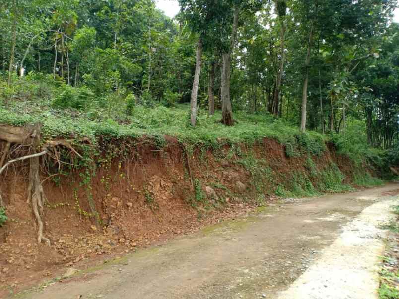 tanah utara pasar mojogedang