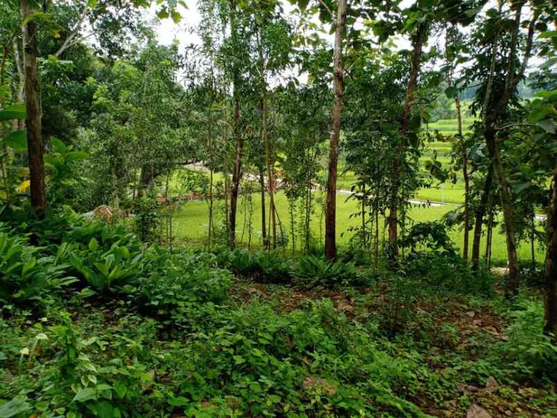 tanah utara pasar mojogedang