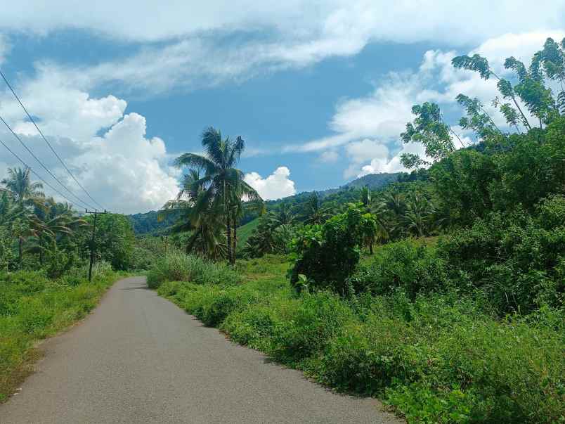 dijual murah dan cepat