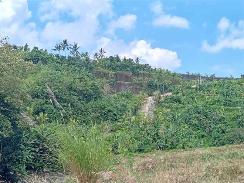 dijual rumah grand niravadhi