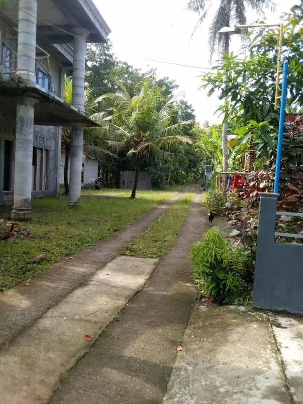 dijual rumah kasihan