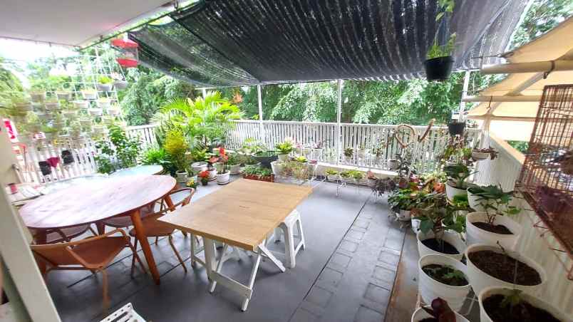 dijual rumah kelapa cengkir kelapa gading