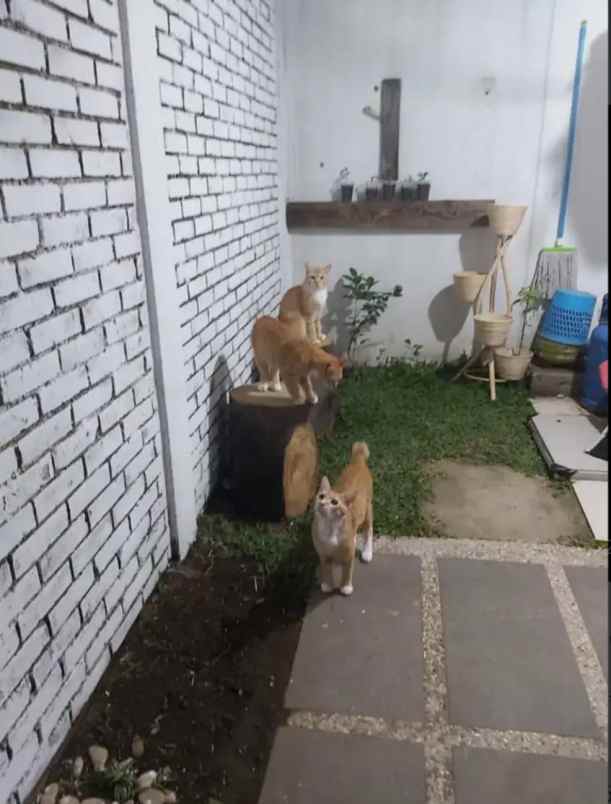 dijual rumah komplek pesona ciwastra