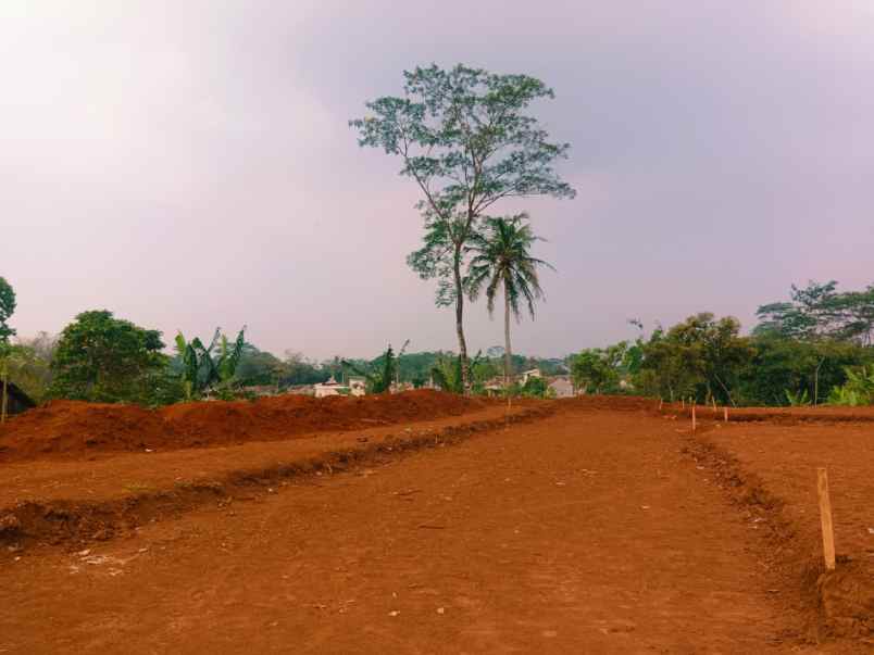 dijual rumah krajan boja dekat mijen