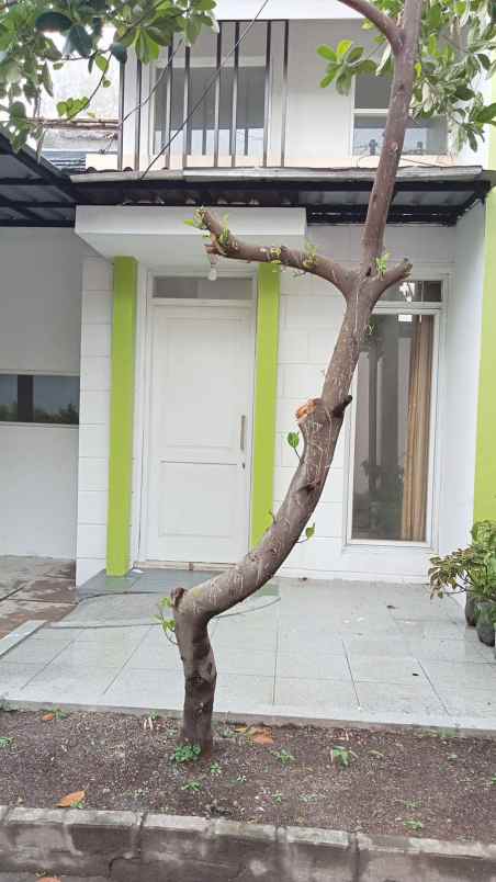 dijual rumah pinus regency