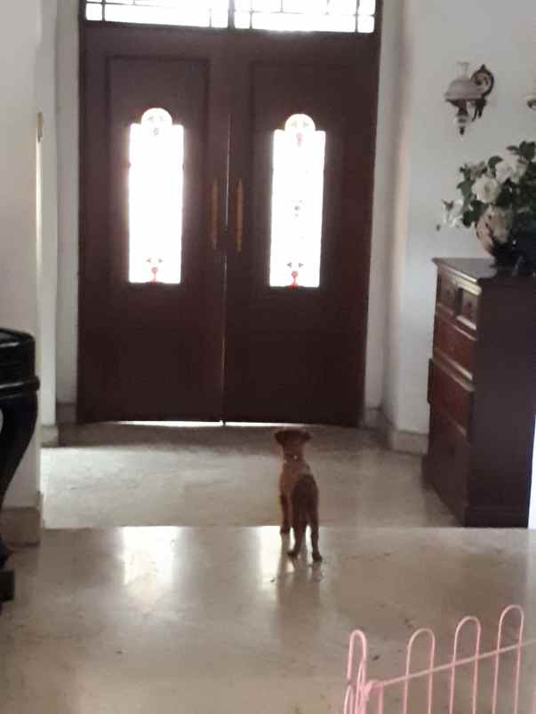 dijual rumah pondok labu