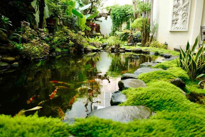 dijual rumah tanjung barat jagakarsa