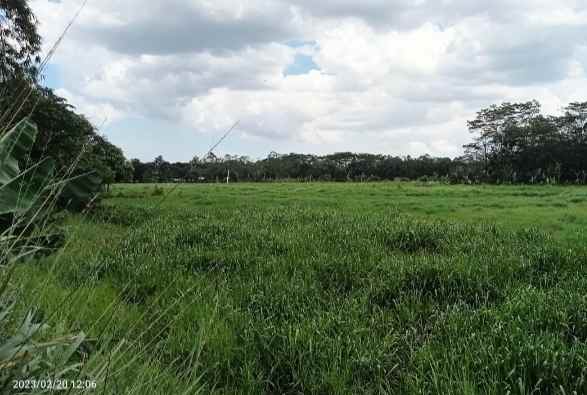 dijual tanah 2 ha cimuning kota bekasi