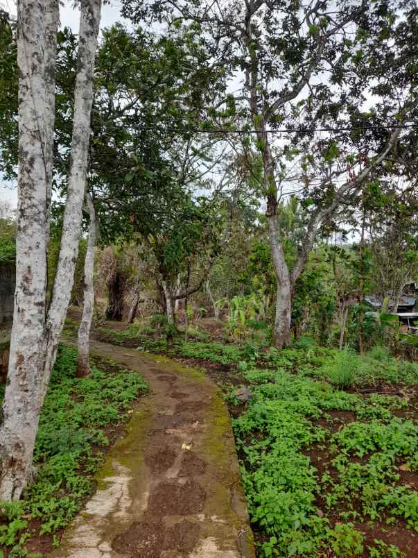 dijual tanah ada bangunan ngancar bawen semarang