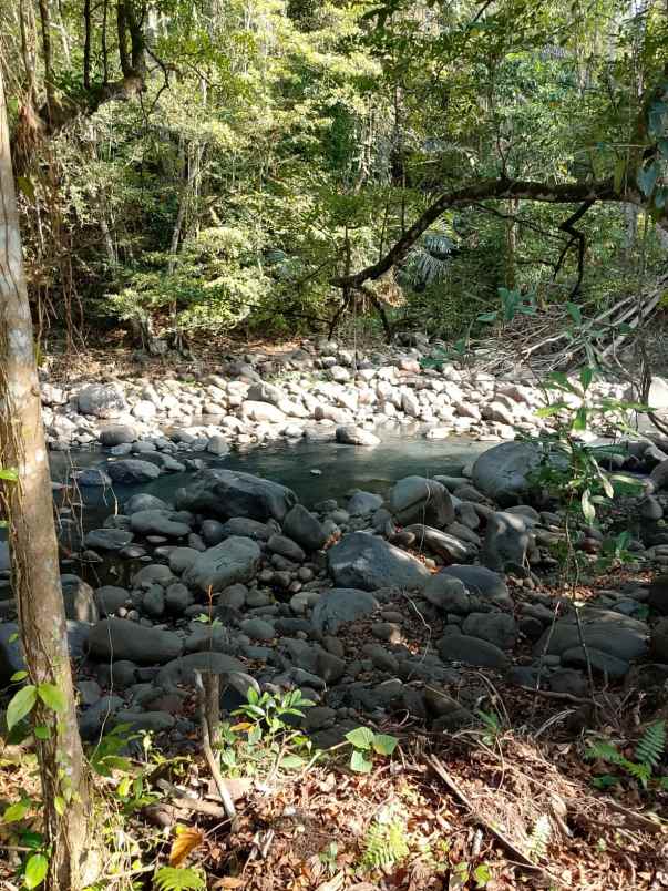 dijual tanah banjar dinas munduk desa