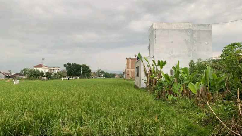 dijual tanah baturetno