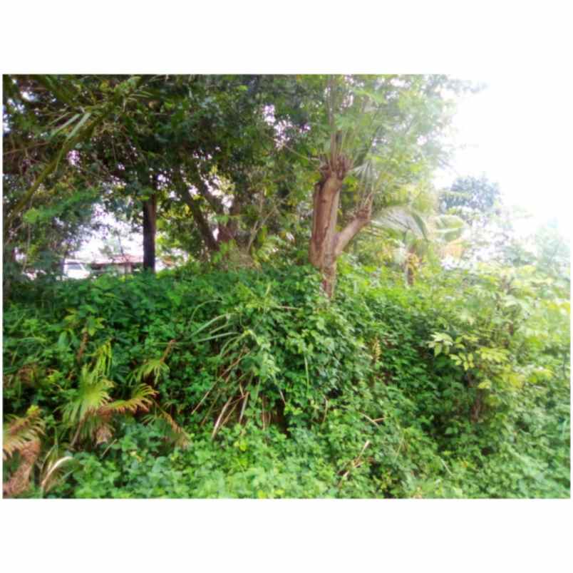 dijual tanah belakang pengadilan