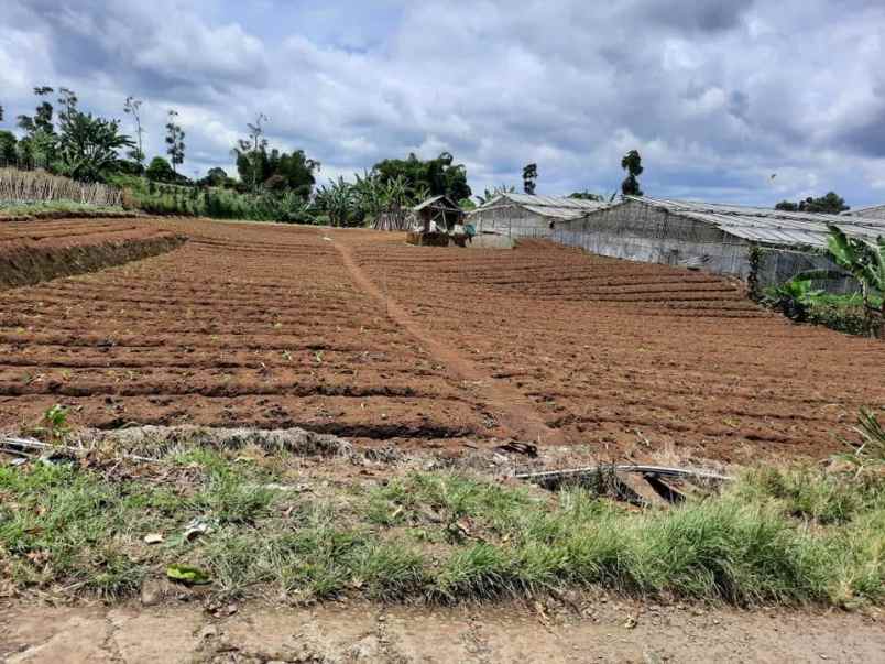 dijual tanah cilimus hilir padaasih kec