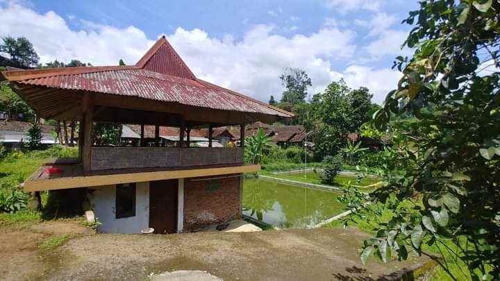 dijual tanah ciwidey