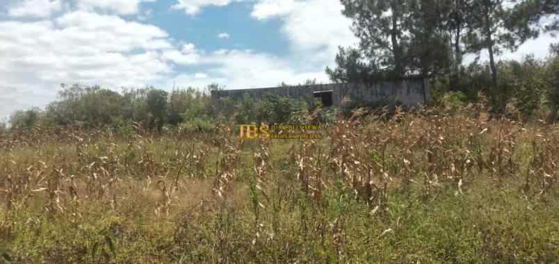 dijual tanah daerah gajapokki 3 7 km