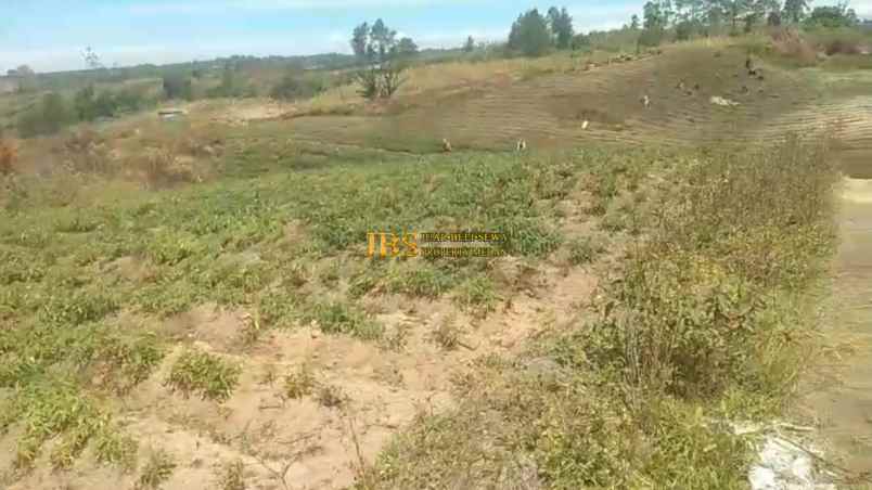 dijual tanah daerah gajapokki 3 7 km