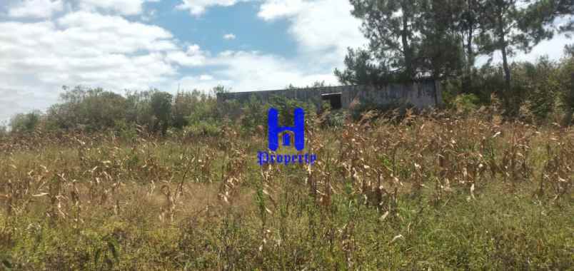 dijual tanah daerah gajapokki 3 7 km