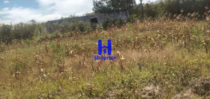 dijual tanah daerah gajapokki 3 7 km