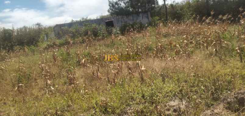 dijual tanah daerah gajapokki saribu jandi simalungun