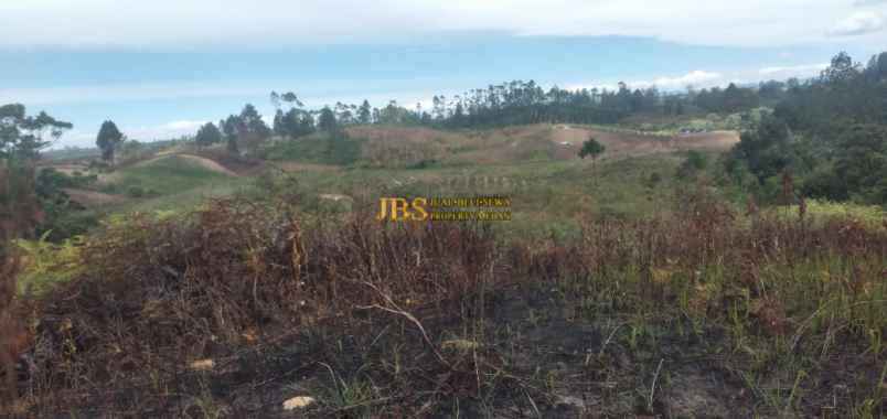 dijual tanah daerah gajapokki saribu jandi simalungun