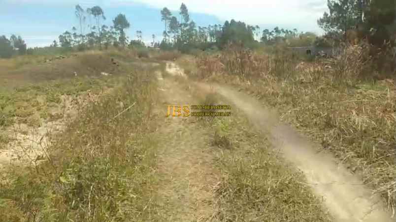 dijual tanah daerah gajapokki saribu jandi simalungun