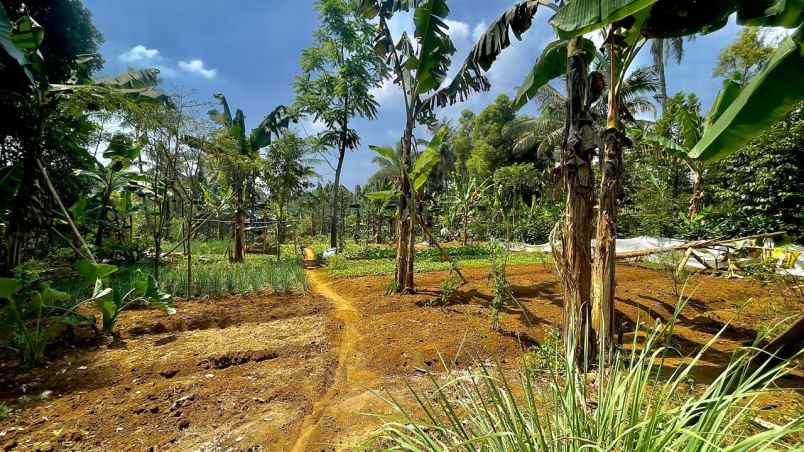 dijual tanah darangdan