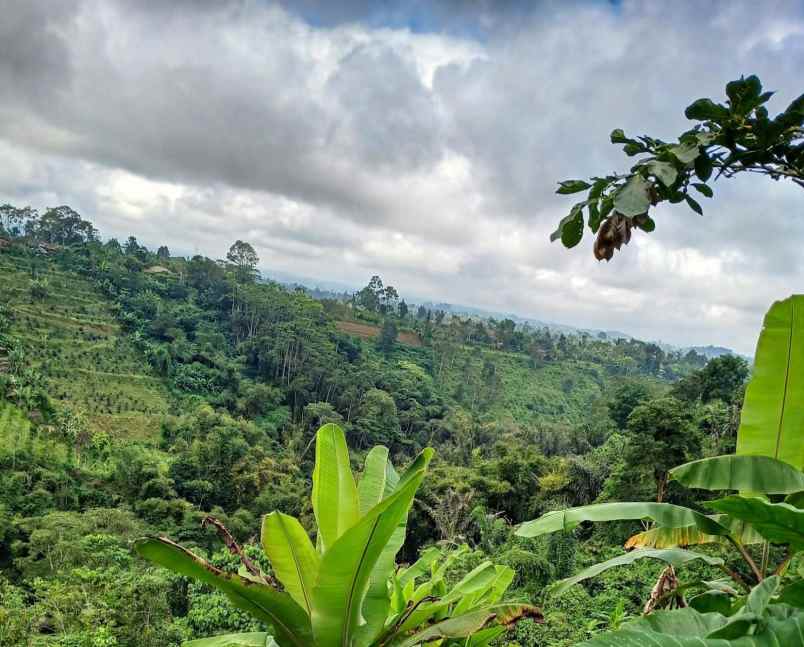 dijual tanah desa antapan kec baturiti