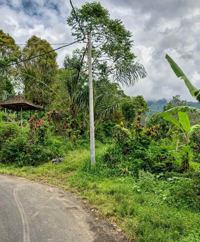 dijual tanah desa antapan kec baturiti