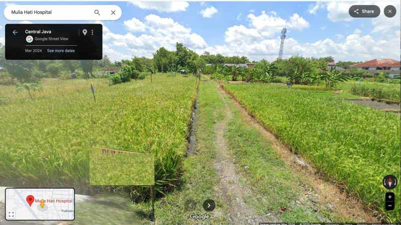 dijual tanah desa klampisan kaliancar