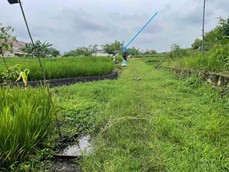 dijual tanah desa klampisan kaliancar