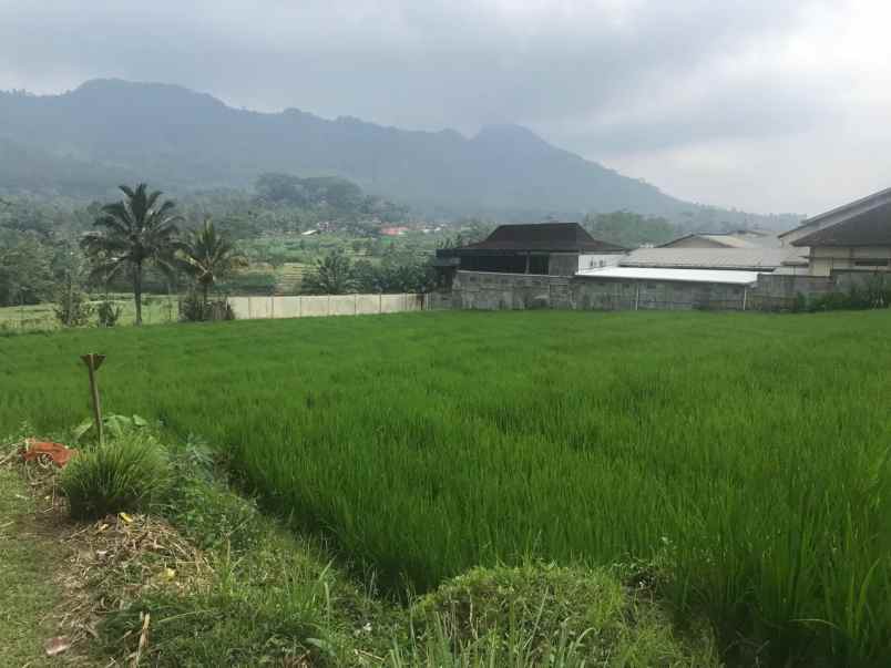 dijual tanah desa waturejo kecamatan