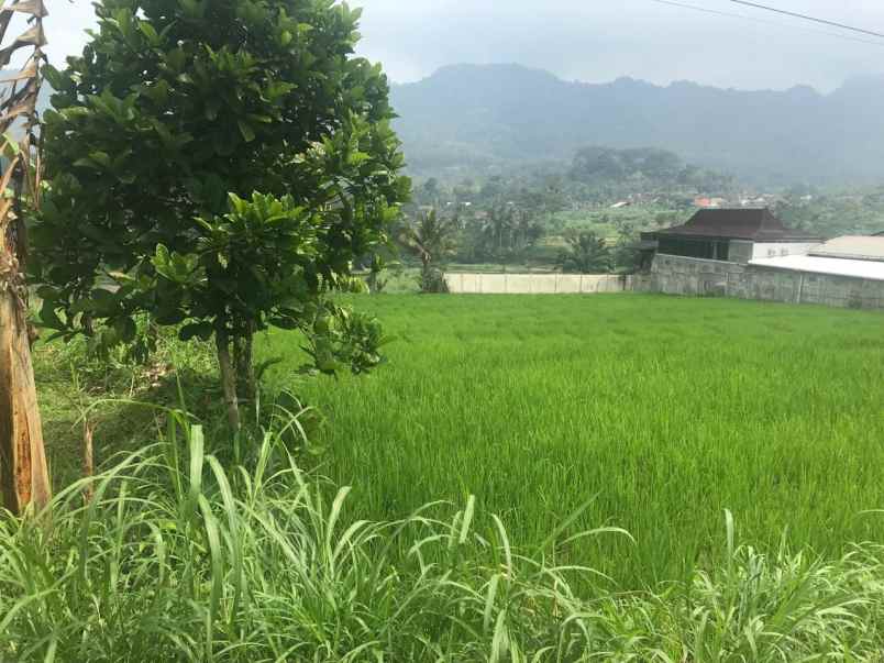 dijual tanah desa waturejo kecamatan