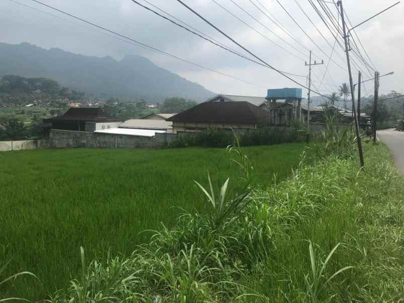 dijual tanah desa waturejo kecamatan