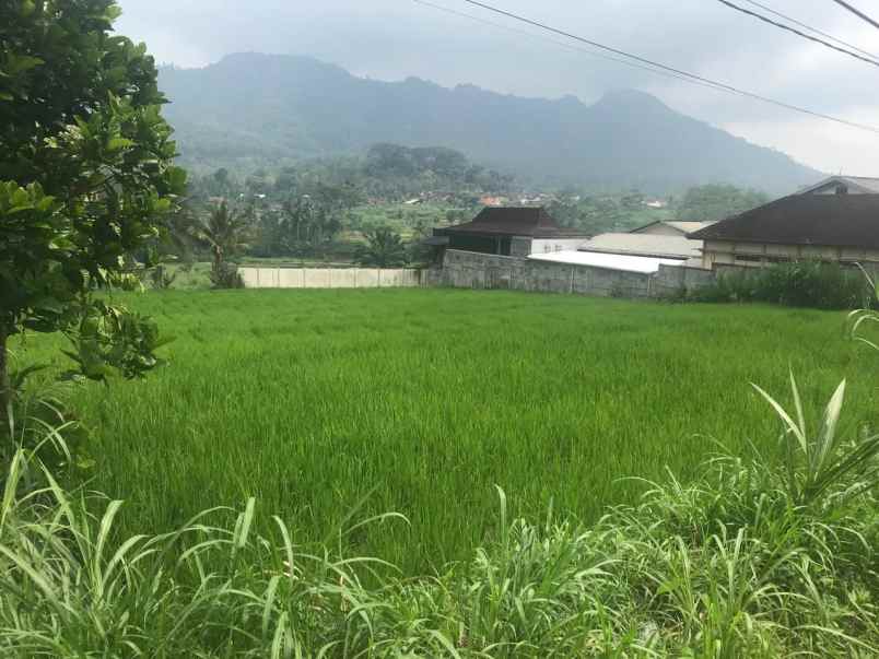 dijual tanah desa waturejo kecamatan