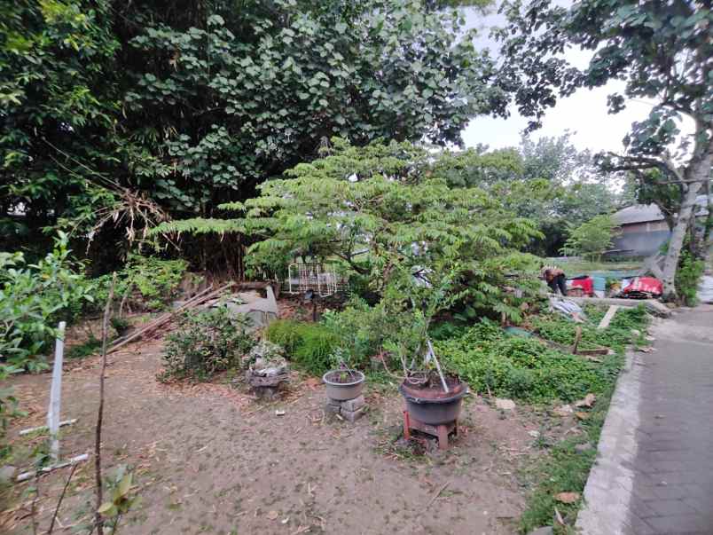 dijual tanah di tegalgondo kec karang ploso kab malang