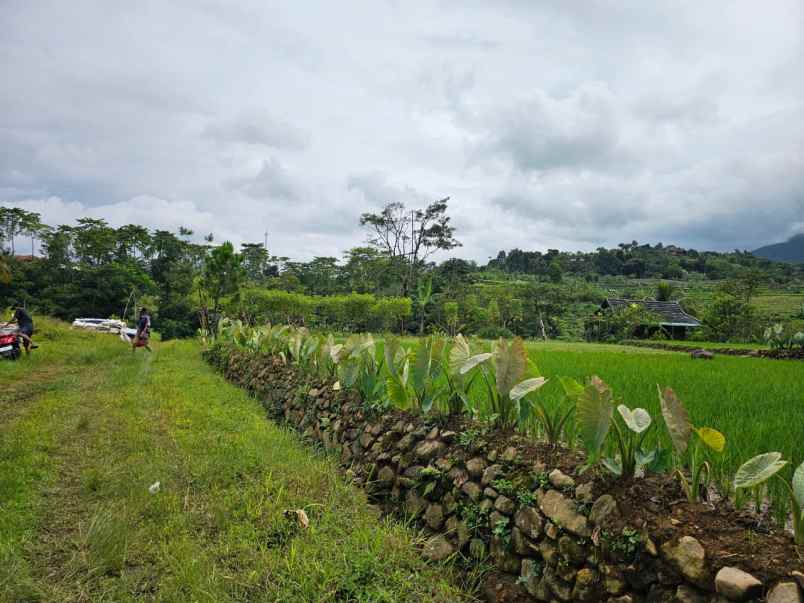 dijual tanah gunung bunder 2 pamijahan