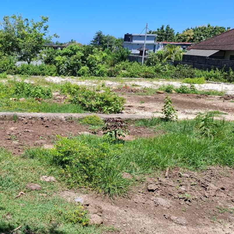 dijual tanah gunung payung