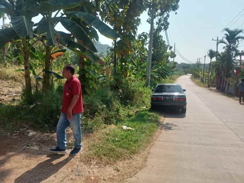 dijual tanah jalan gringsing kedawung