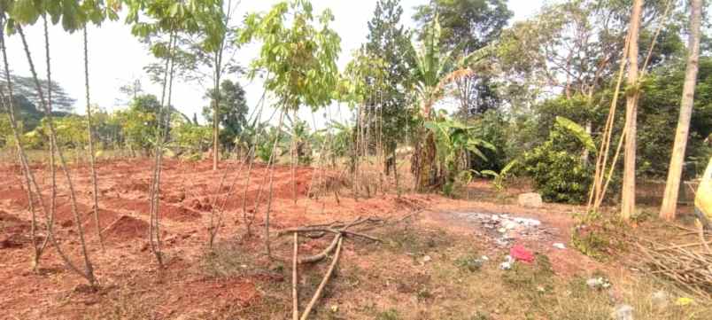 dijual tanah jalan raya mt haryono