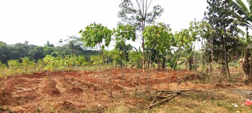 dijual tanah jalan raya mt haryono