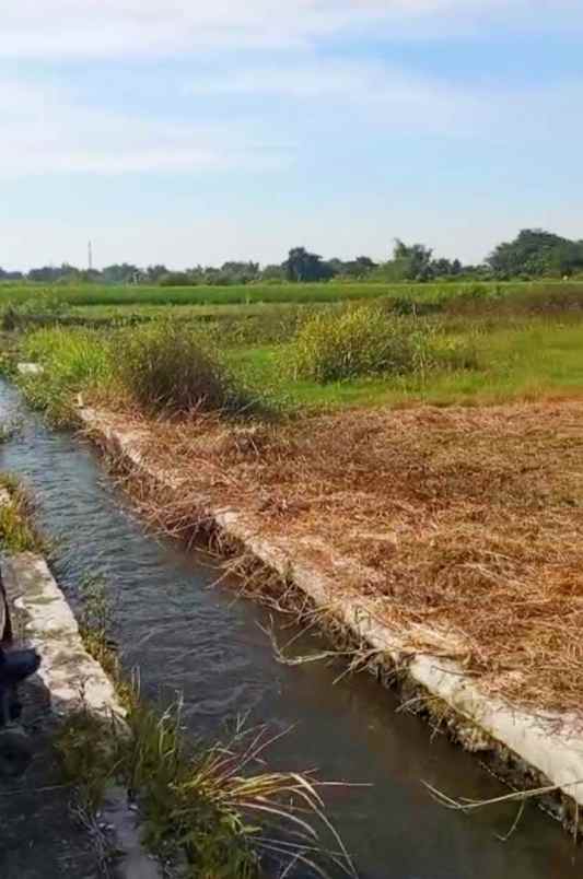 dijual tanah janti klaten