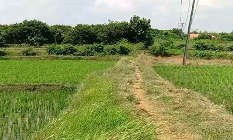 dijual tanah jaringao