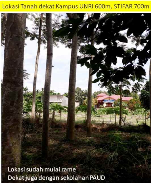 dijual tanah jl bangau sakti